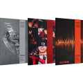 album-treasure-love-pulse-1.png