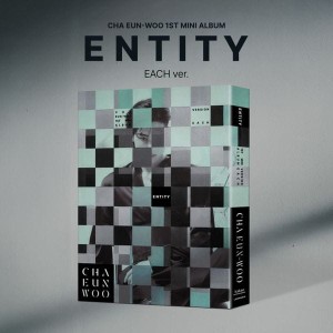 CHA EUN WOO - ENTITY