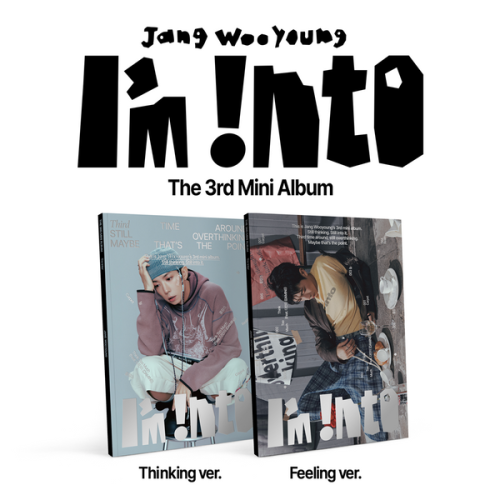 album-jang-woo-young-im-into.png