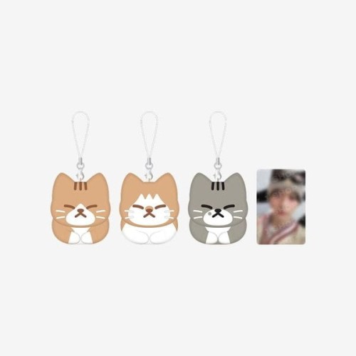stray-kids-dominate-celebrate-soon-doong-dori-keyring-set-by-lee-know.jpg