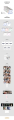 c02881d2-242a-4037-bd0a-1f9652b7f484.png