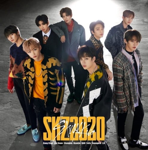 album-stray-kids-skz2020-regular-edition.jpg