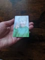 1762438385 (1).webp
