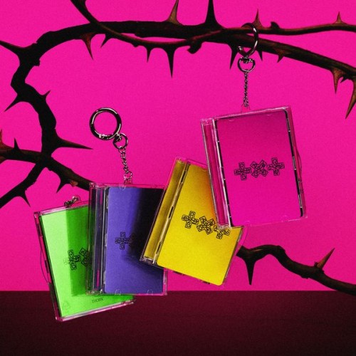 album-txt-7th-year-a-moment-of-stillness-in-the-thorns-photocard-case-ver.jpg