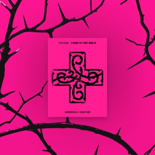 album-txt-7th-year-a-moment-of-stillness-in-the-thorns-ppulbatu-ver.-weverse-albums-ver.jpg