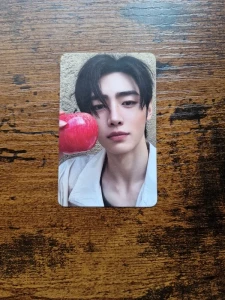 Karta Enhypen The Sin: Vanish ver Fugatives - Sunghoon