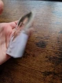 1773488890 (1).webp