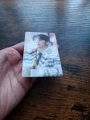 1768129035 (1).webp