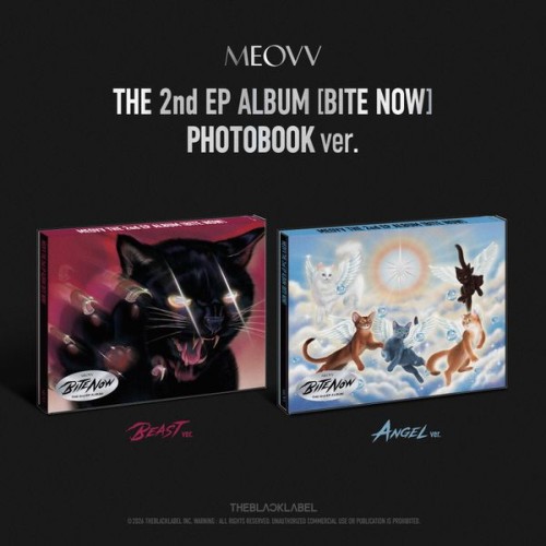 album-meovv-bite-now-photobook-ver-1.jpg