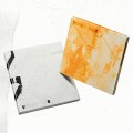 album-v8-1st-mini-album-v8.jpg