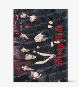 (Preorder) TRADING CARD CASE / Stray Kids World Tour dominATE JAPAN