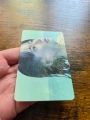 1786190579 (2).webp