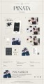 album-a.c.e-pinata-pocaalbum-a-1085x2048.jpeg
