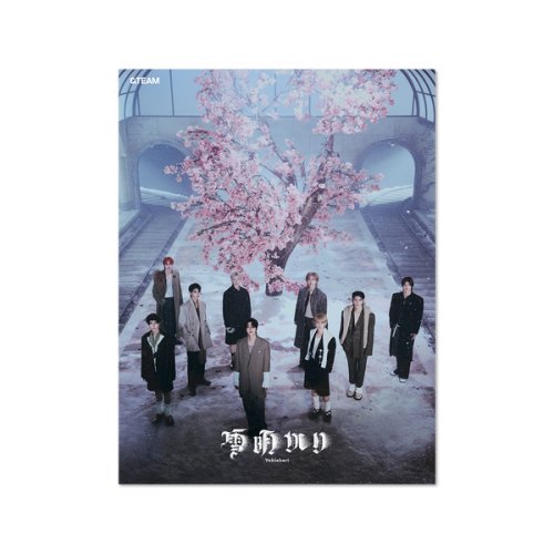 album-team-yukiakari-limited-edition.png