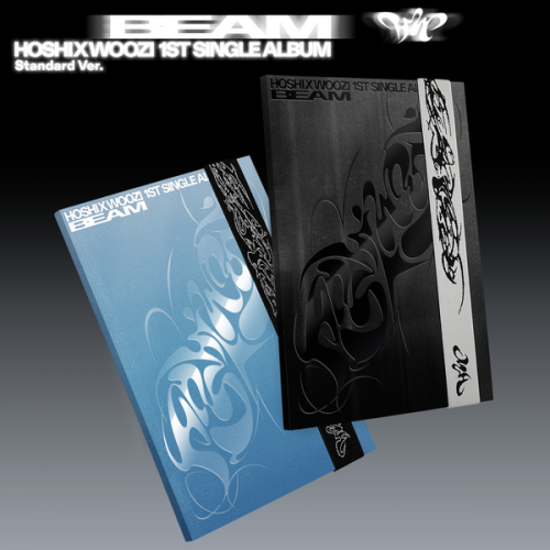 album-hoshi-x-woozi-beam.png