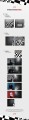 album-dpr-cream-dpr-artic-no-drugs-a-920x3690.jpg