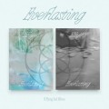 album-n.flying-everlasting.jpg