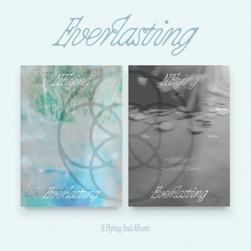 album-n.flying-everlasting.jpg