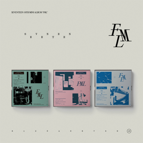 album-seventeen-fml.png