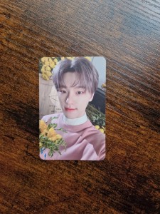 Karta Seventeen Your Choice  wersja One Side  - Dino