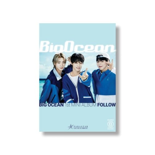 album-big-ocean-follow.jpg