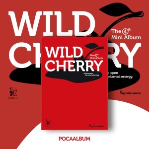 (PREORDER) ICHILLIN’ - WILD CHERRY (POCA ALBUM)